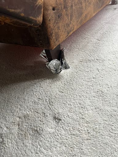 Hi Carpet Cleaner Ltd — Customer photo