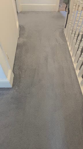 Deep Clean Carpet & Rug Cleaning Services — Customer photo