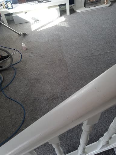 VIP Clean - Carpet & Upholstery Cleaning — Customer photo