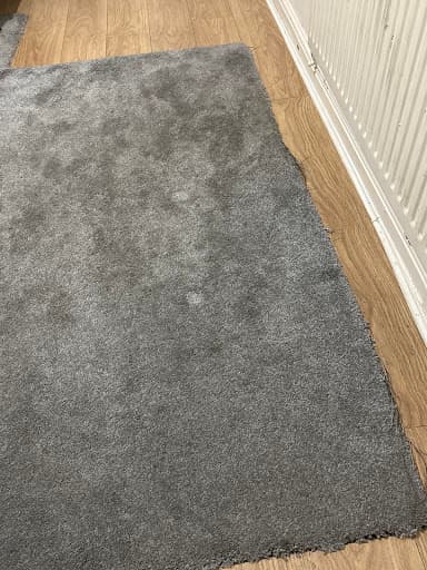 Deep Clean - Carpets & upholstery — Customer photo