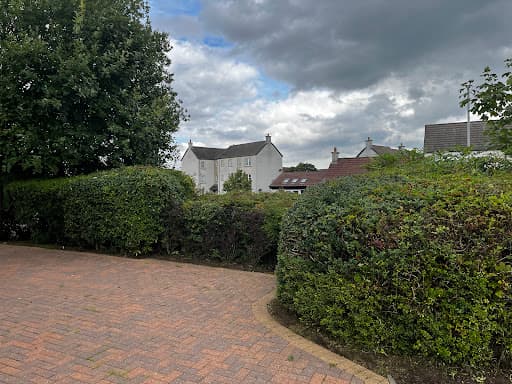 Eco Driveway Cleaning — Customer photo