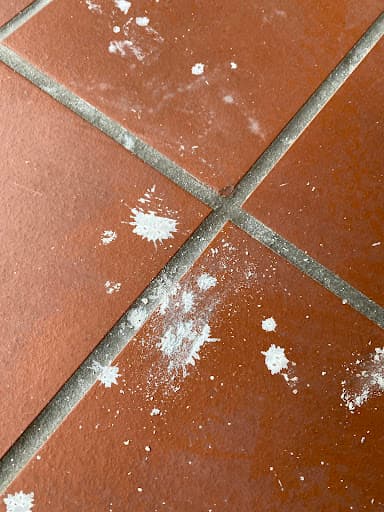 Cleaning Doctor Carpet & Upholstery Services Birmingham & Solihull — Customer photo