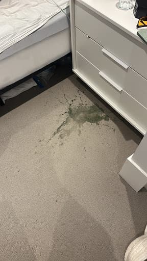 4 Seasons Carpet Clean — Customer photo