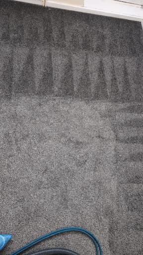 Hi Carpet Cleaner Ltd — Customer photo