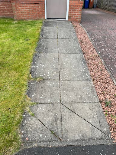 Eco Driveway Cleaning — Customer photo