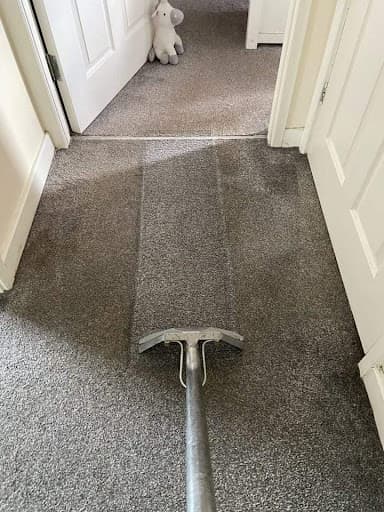 Connors Carpet Cleaning — Customer photo