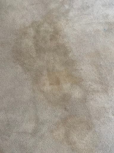 "Lemon Breeze" Ltd. Carpet & Upholstery cleaning Manchester and surrounding areas — Customer photo