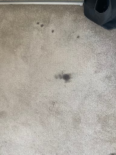 The Carpet Doctor — Customer photo