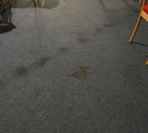 SMA Carpet Cleaning Services — Customer photo