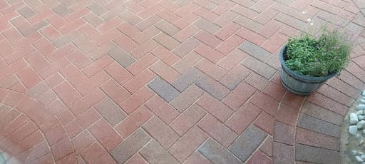 Drive Revive Exterior Cleaning — Customer photo