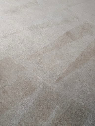 4 Seasons Carpet Clean — Customer photo