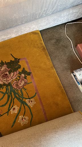Clean Carpet Limited — Customer photo