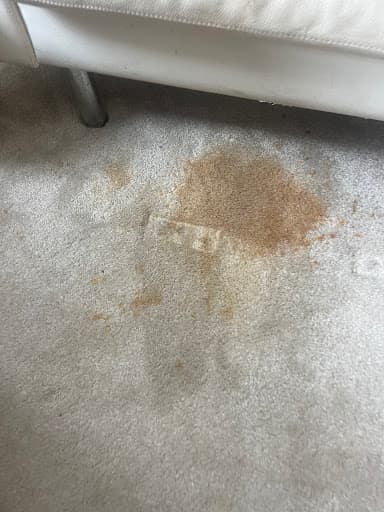 Smile Carpet Cleaning — Customer photo