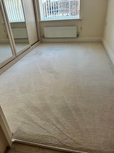 Pro Carpet Cleaner — Customer photo