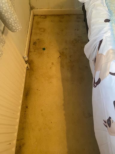 Summit Cleaning — Customer photo
