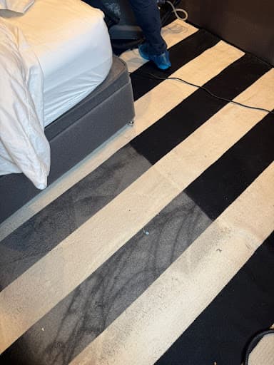 London Sofa & Carpet Cleaners LTD — Customer photo