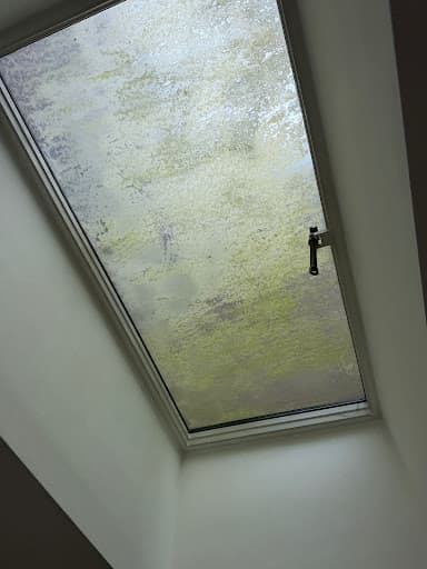 ALEX&CHRIS WINDOW CLEANING LTD — Customer photo