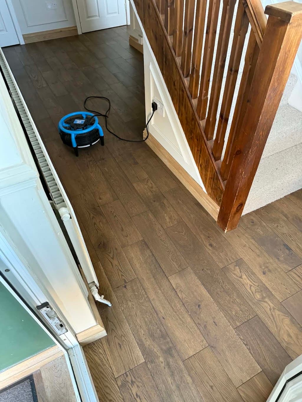 Bounce Back Carpets