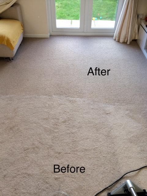 Sam's Carpet Sofa Mattress cleaning