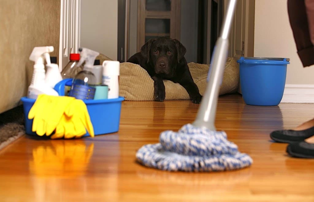 Instant Cleaning Services UK