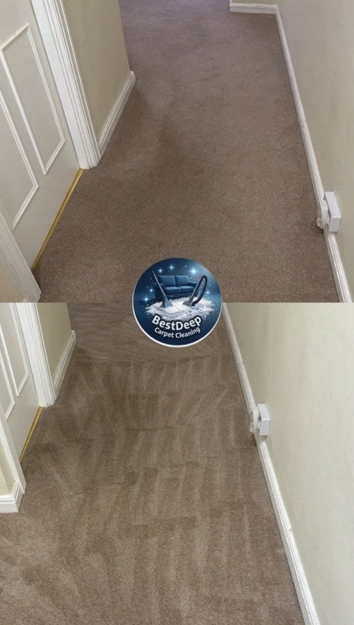 Best Deep Carpet Cleaning Ltd