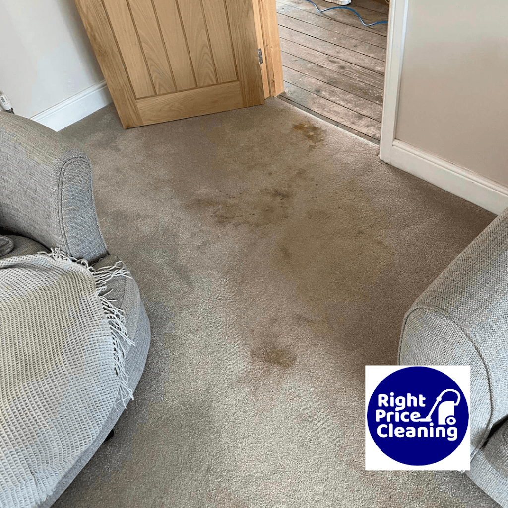 Right Price Cleaning