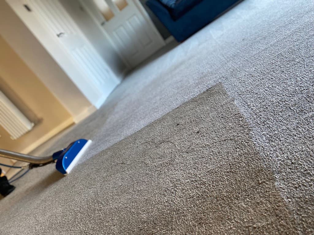 Alliance Carpet & Upholstery Cleaning Ltd