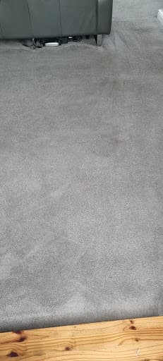 1stClass Carpet Cleaners — Customer photo