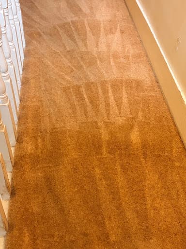 Best Deep Carpet Cleaning Ltd — Customer photo