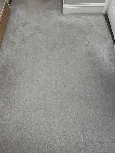 Midlands carpet cleaning services birmingham — Customer photo