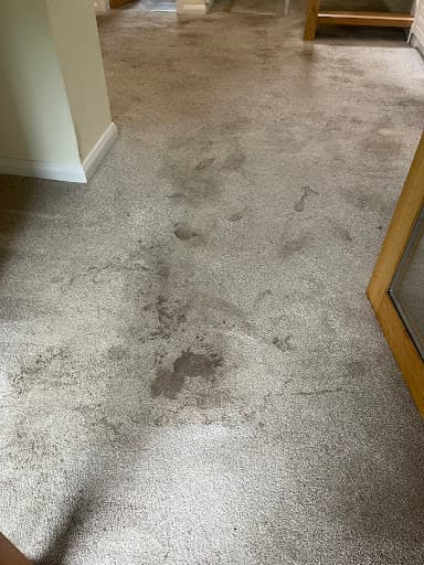 DSA Carpet Cleaning Glasgow — Customer photo
