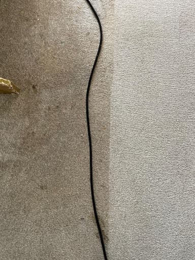 Premier Carpet Cleaning — Customer photo