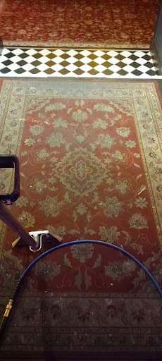 Super Carpet Cleaner — Customer photo