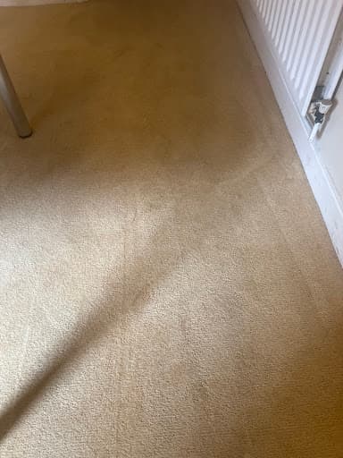 Flawless Carpet - Upholstery & Floor Care Ltd — Customer photo
