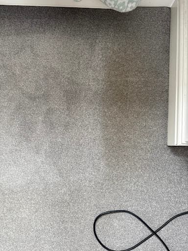 Fresh Carpet Cleaning Newcastle — Customer photo