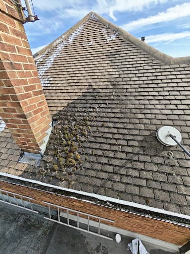 RDP Jet Clean — Customer photo