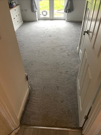 Easy Cleaning Services — Customer photo