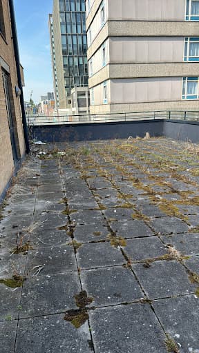 Midlands Mighty Cleaning — Customer photo