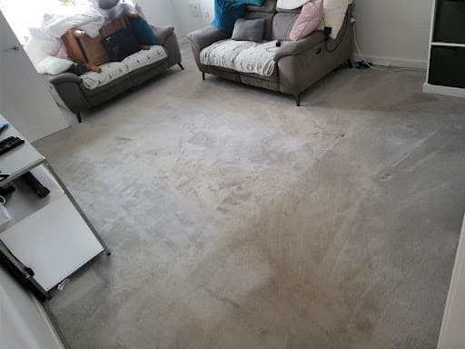TF - Carpet Cleaning Reading — Customer photo