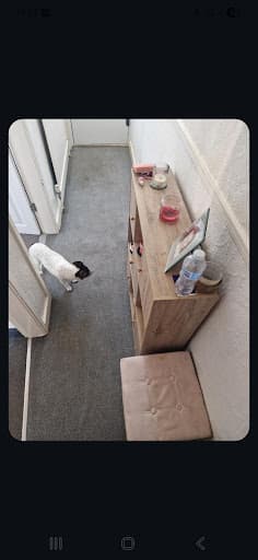 Enviro Clean Nottingham Ltd — Customer photo