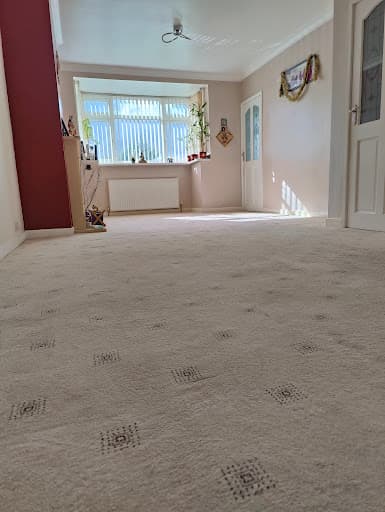 Bradford Carpet Cleaner — Customer photo