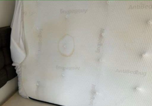 Manchester House Cleaning Services — Customer photo