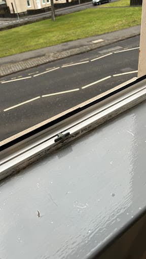 PHT Cleaning Services — Customer photo