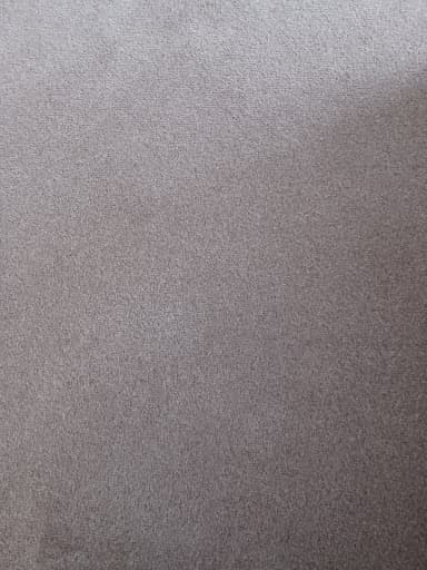 Fresh Carpet Cleaning Newcastle — Customer photo