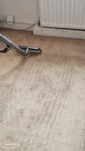 Team Carpet Clean Bristol — Customer photo