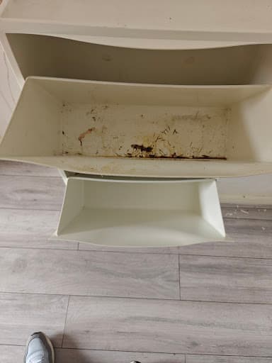 Bonus Cleaning — Customer photo