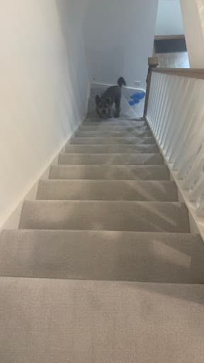 RSCLEANLTD — Customer photo