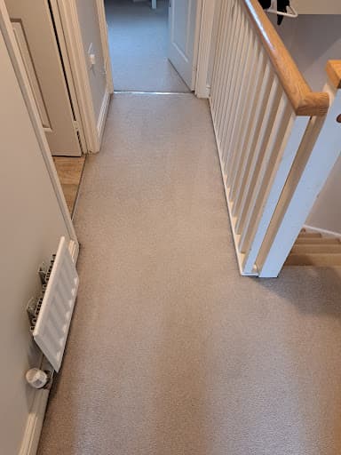 DM Carpet Clean — Customer photo