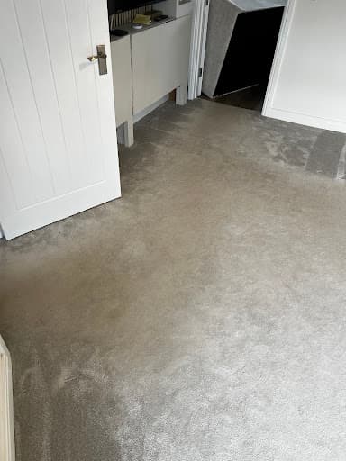 Team Carpet Clean Bristol — Customer photo