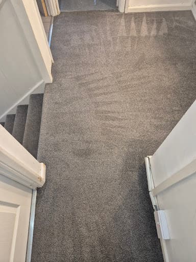 DM Carpet Clean — Customer photo
